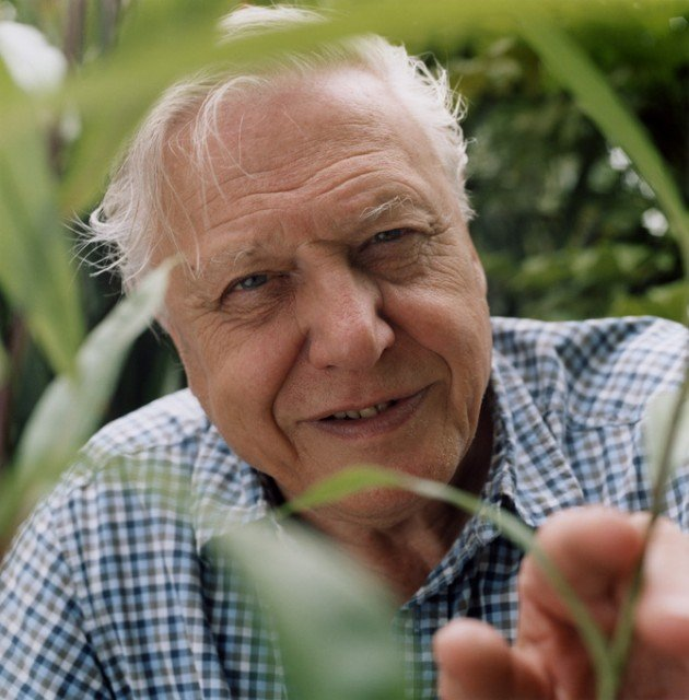 David Attenborough  is an icon and his voice is the reason why many of us have awareness about wildlife . He is one of my favorite and if I would ever want a voice for my project I would fantasize him !